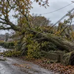 Tysiące domów bez prądu w południowo-wschodniej Anglii po sztormie „Boelo” – awarie w hrabstwach Kent, East Sussex i Surrey