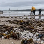 Odzyskano tylko 28 procent granulatu z wycieku w rzece Tyne – plastikowe kulki dotarły aż do Danii, nie wiadomo, kto zapłaci
